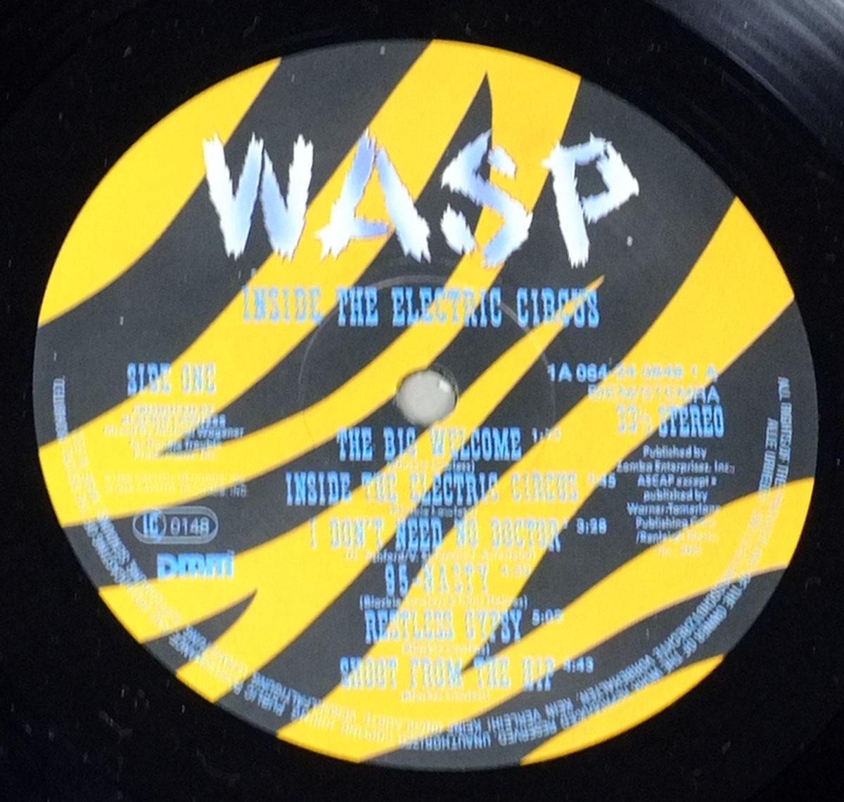 High Resolution Photos of wasp inside electric circus 